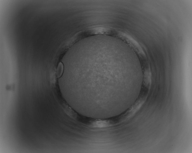 X0000102410413200808011612