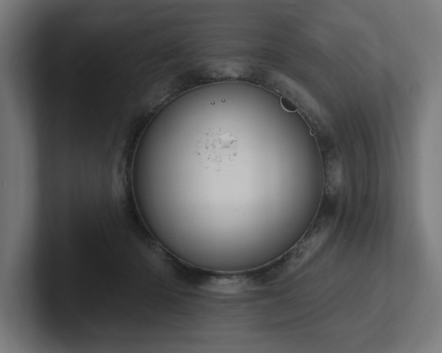 X0000102410414200808011612