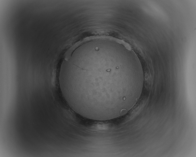 X0000102410416200808011612