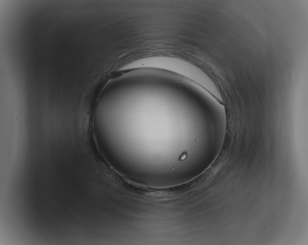 X0000102410417200808011612