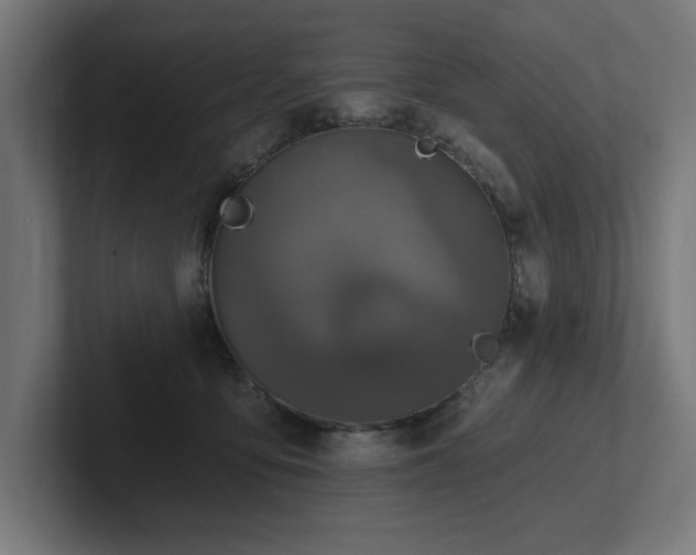 X0000102410419200808011612