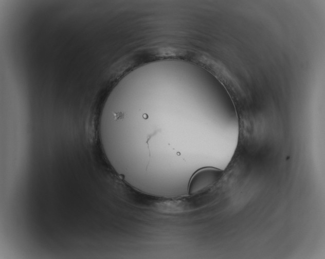 X0000102410422200808011612