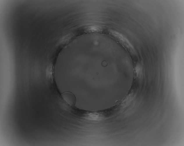 X0000102410423200808011612