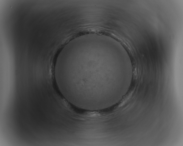 X0000102410424200808011612