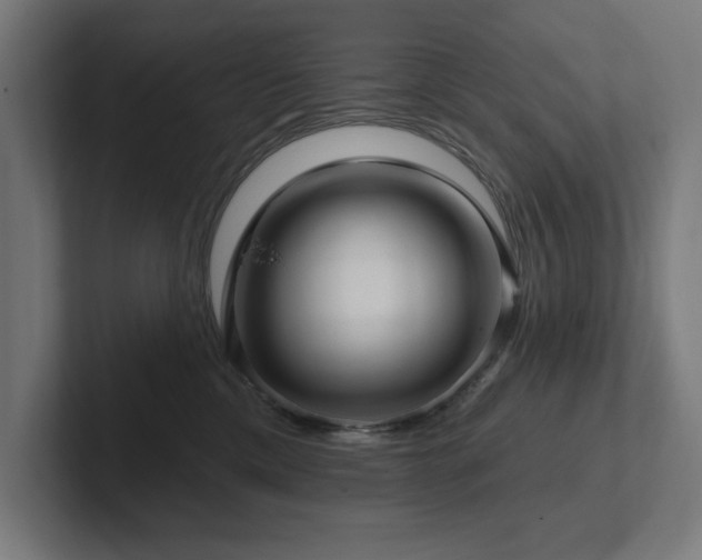 X0000102410425200808011612