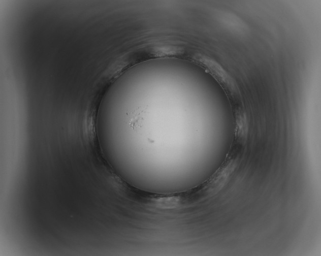 X0000102410426200808011612