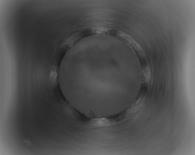 X0000102410427200808011611