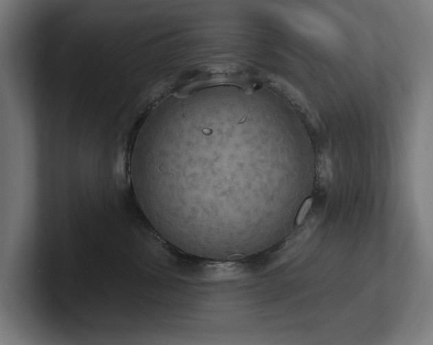 X0000102410428200808011611