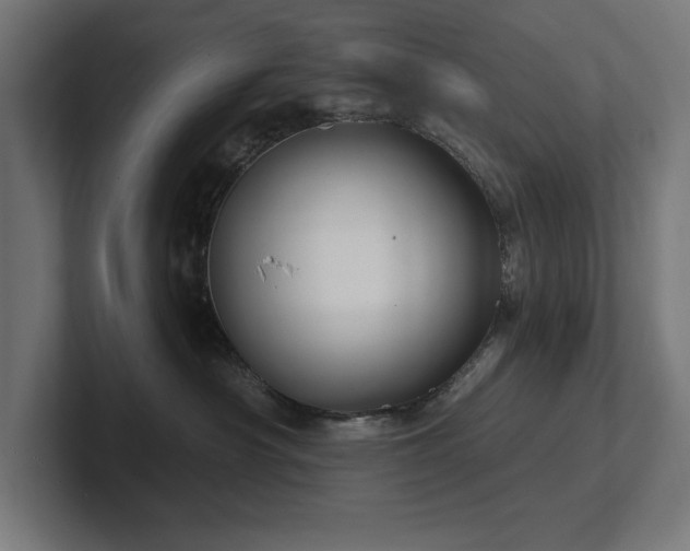 X0000102410430200808011611