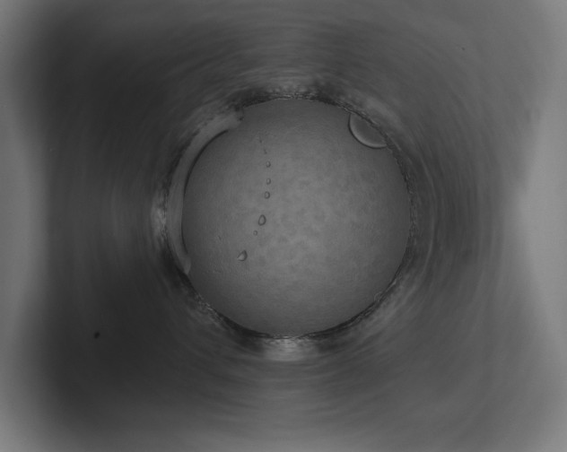 X0000102410432200808011611