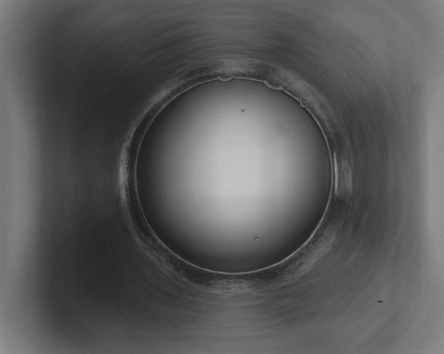 X0000102410435200808011611