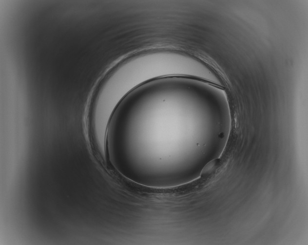 X0000102410436200808011611