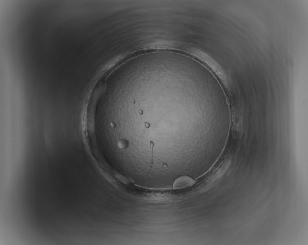 X0000102410437200808011611