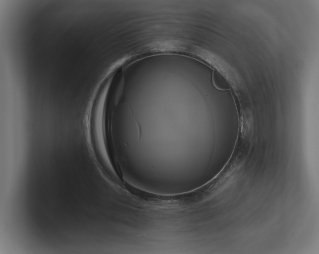 X0000102410438200808011611