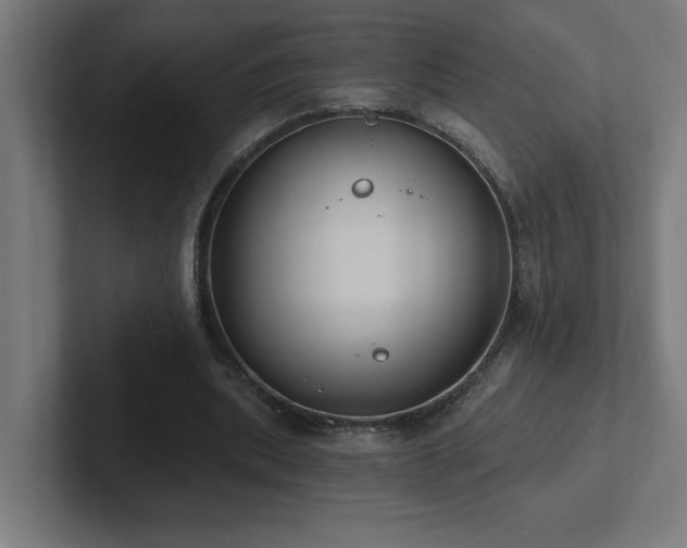 X0000102410439200808011611