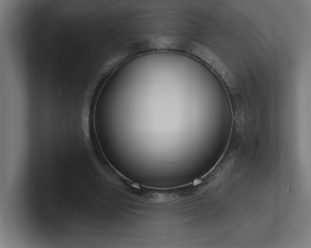 X0000102410442200808011611