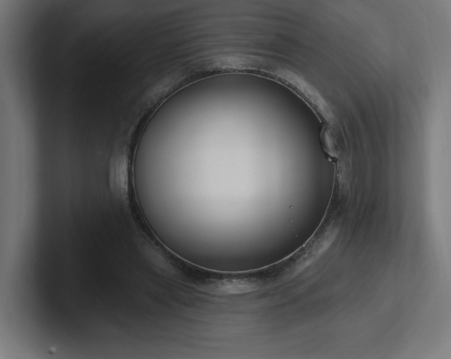 X0000102410445200808011611