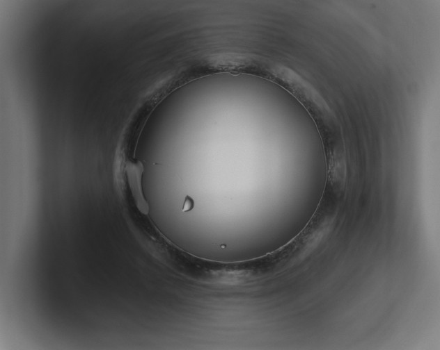 X0000102410448200808011611