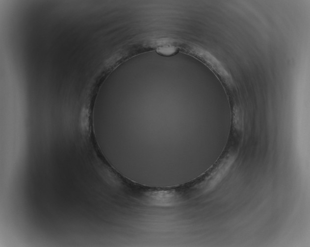 X0000102410449200808011611