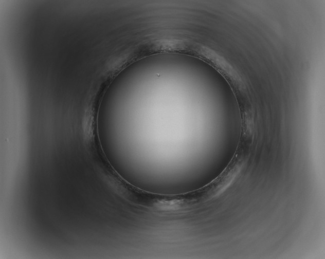 X0000102410450200808011611