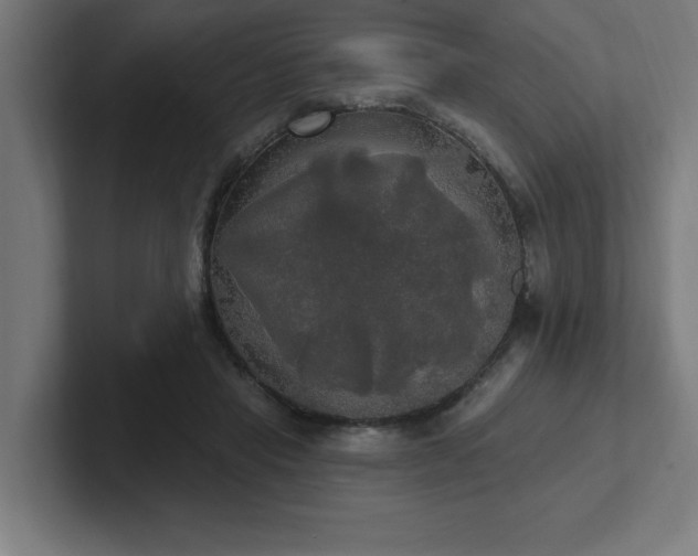 X0000102410453200808011611