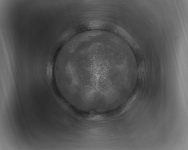 X0000102410454200808011611