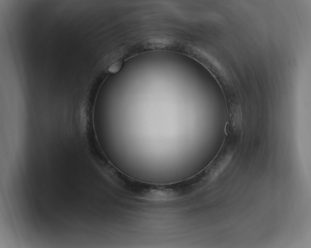 X0000102410455200808011611