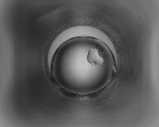 X0000102410456200808011611