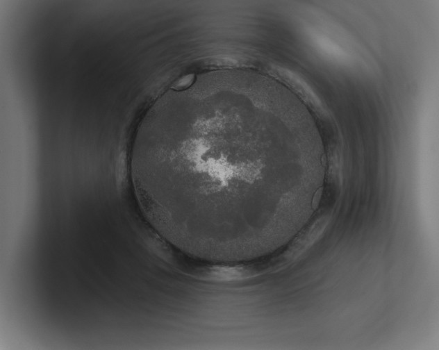 X0000102410457200808011611