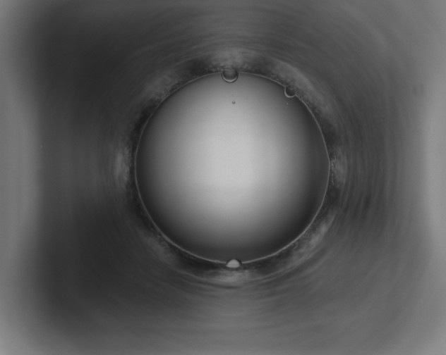 X0000102410458200808011611