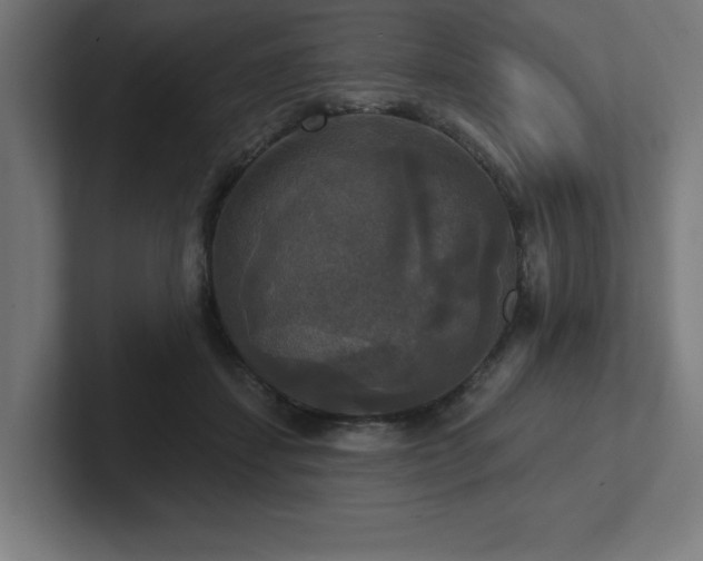 X0000102410459200808011611