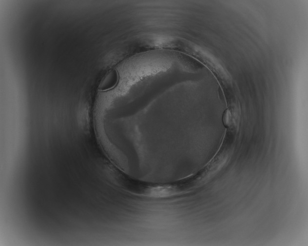 X0000102410461200808011611