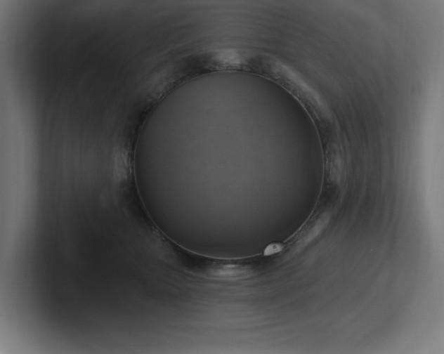 X0000102410467200808011611