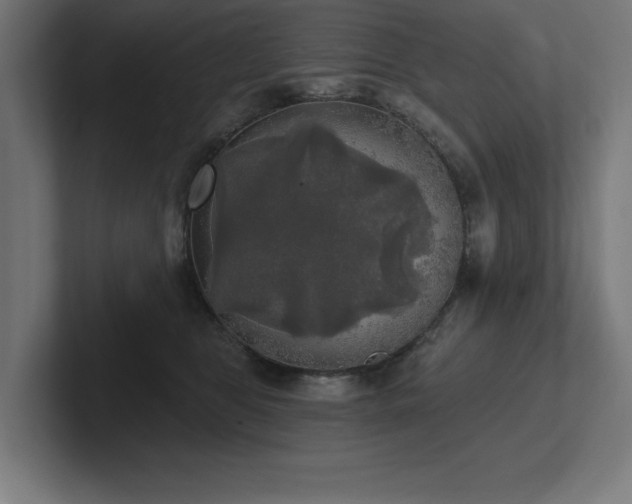 X0000102410469200808011611