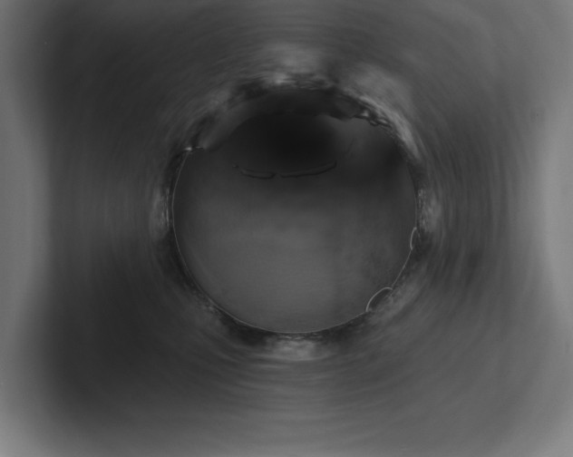 X0000102410471200808011611