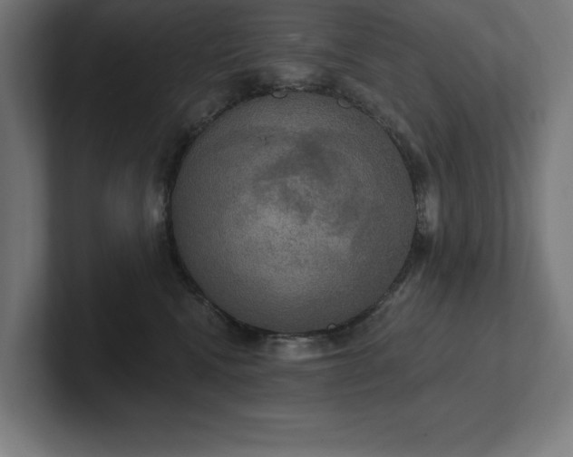 X0000102410472200808011611