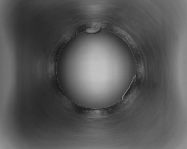 X0000102410473200808011611