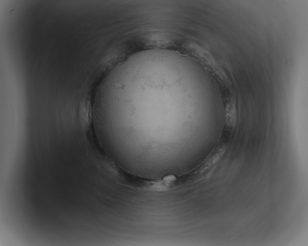 X0000102410474200808011611