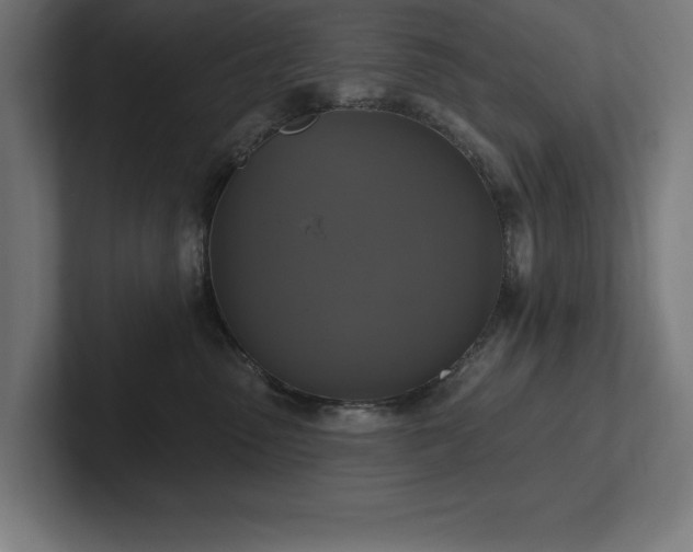 X0000102410475200808011611