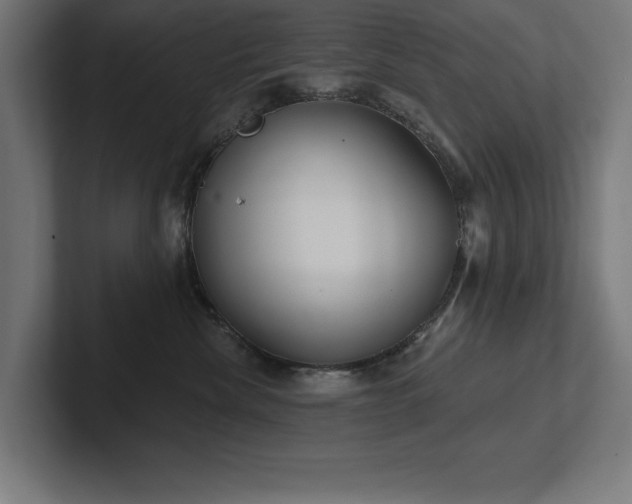 X0000102410476200808011611