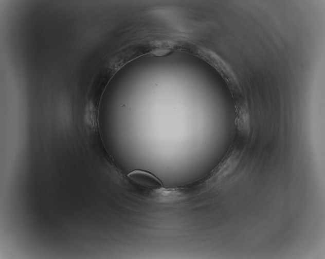 X0000102410477200808011611