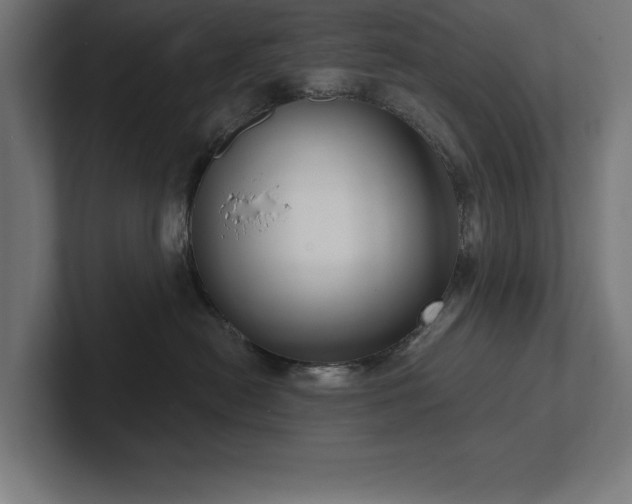 X0000102410478200808011611