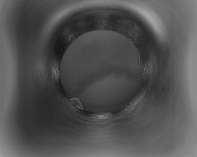 X0000102410479200808011611