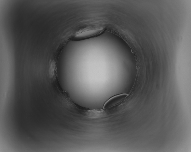 X0000102410480200808011611