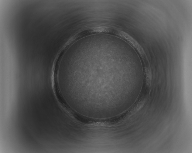 X0000102410482200808011611