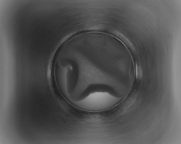 X0000102410483200808011611