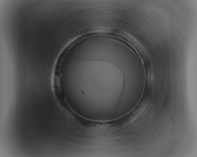 X0000102410484200808011611