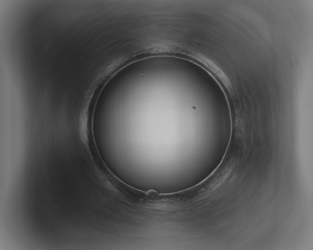 X0000102410485200808011611