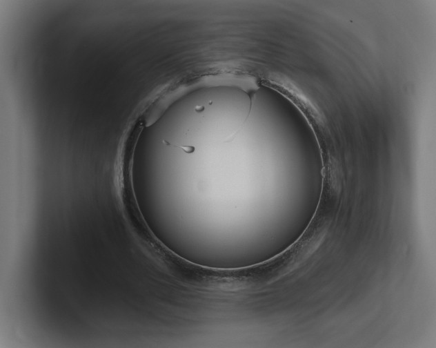 X0000102410486200808011611