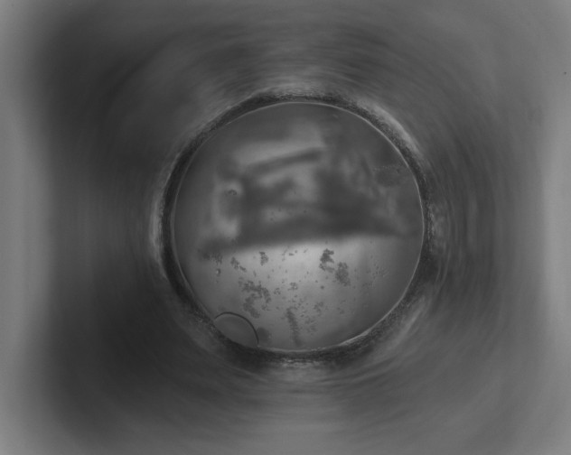 X0000102410487200808011611